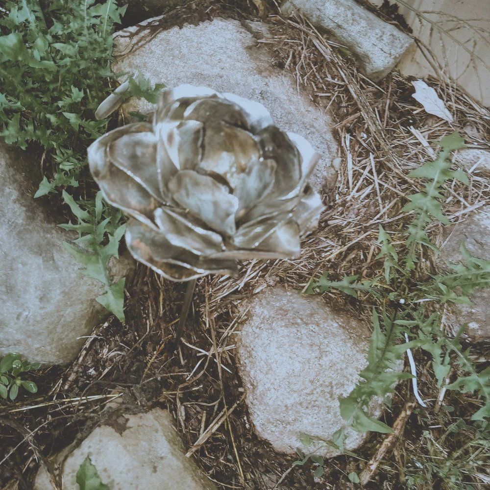 Rustic Rose - Picture 4 of 4